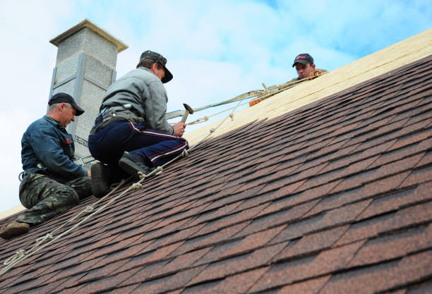 Quick and Trustworthy Emergency Roof Repair Services in South Point, OH